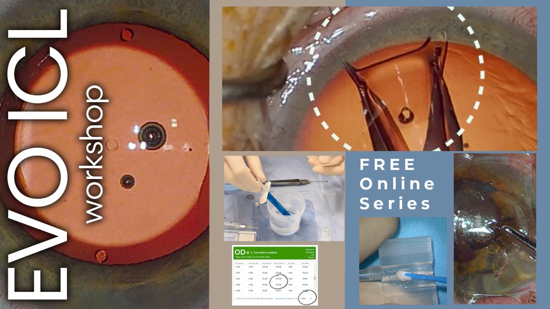 EVO ICL Workshop — free online video series